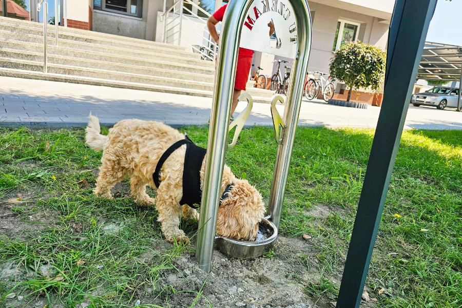 bank przyjazny pupilom